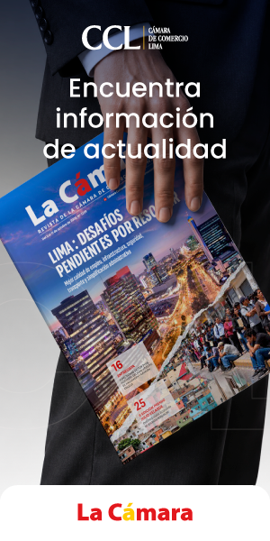 web completa desde 450